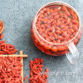 Certified organic dried goji berries good for health